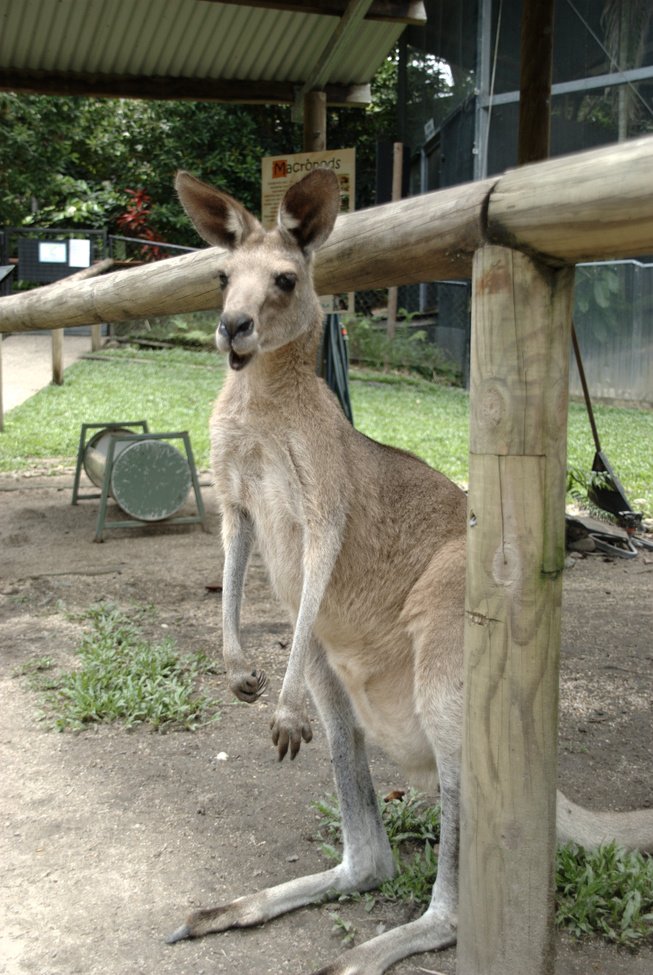 Hi there!