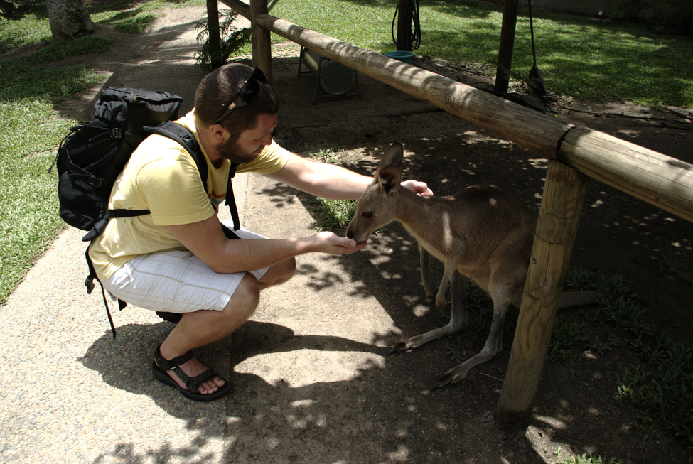 Kangaroo