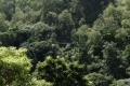 Kuranda Scenic Railway