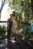 Skyrail