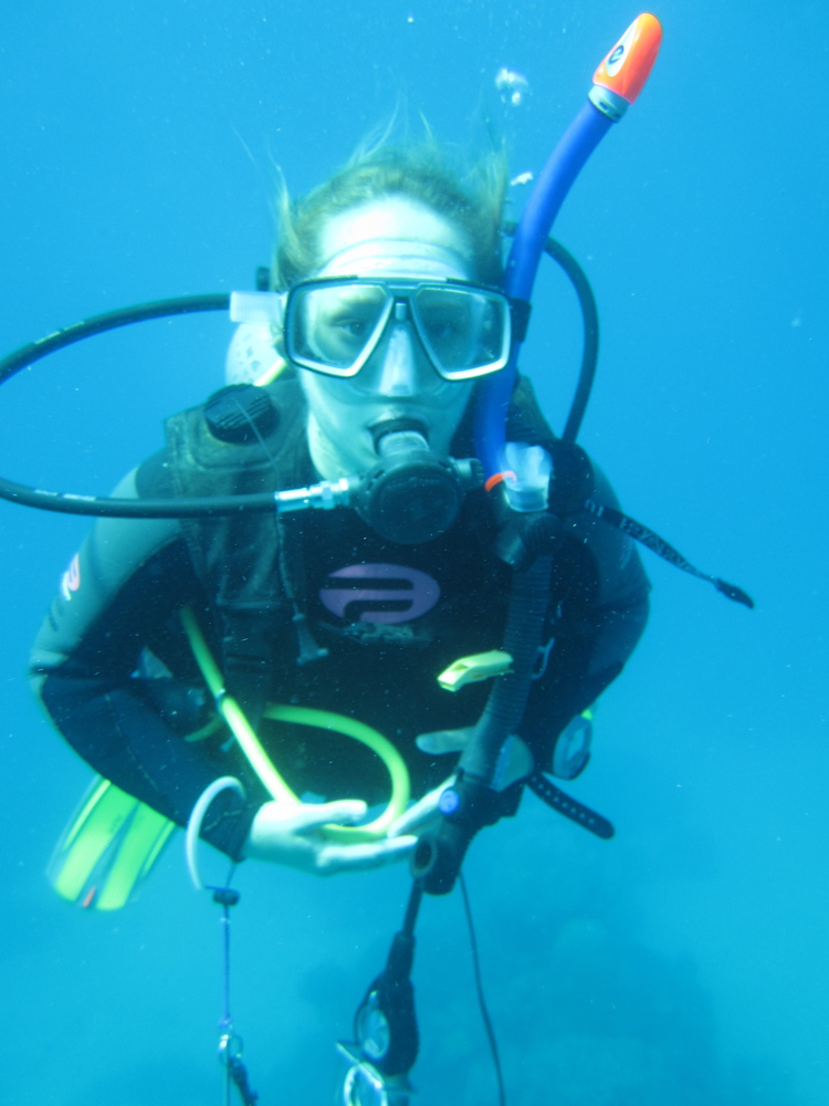Image australia-2011-01/diving/IMG_1455.jpg