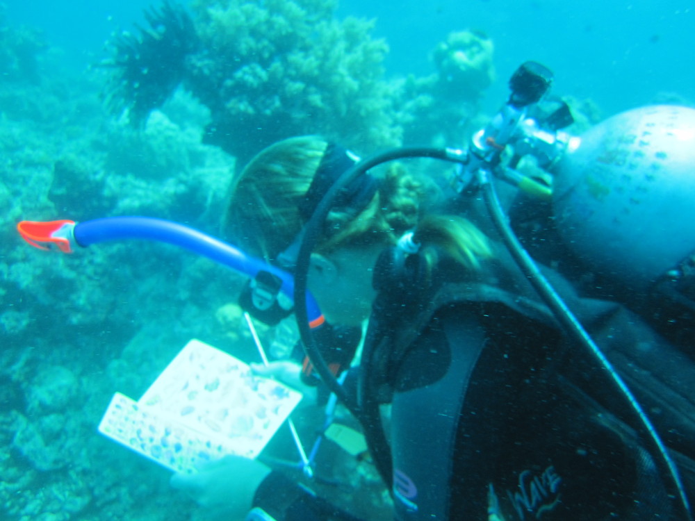 Image australia-2011-01/diving/IMG_1485.JPG