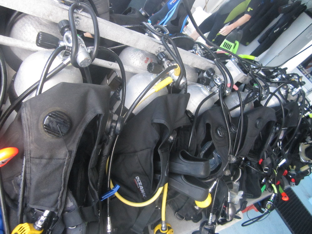 Image australia-2011-01/diving/IMG_1663.JPG