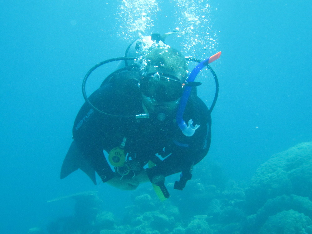 Image australia-2011-01/diving/IMG_1709.JPG