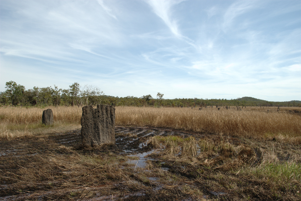 Magnetic termite mounds at Litchfield NP