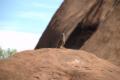 Uluru