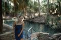 Mataranka hot springs
