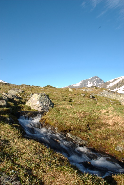 Image krossbu-2008-07/dsc_0007.jpg