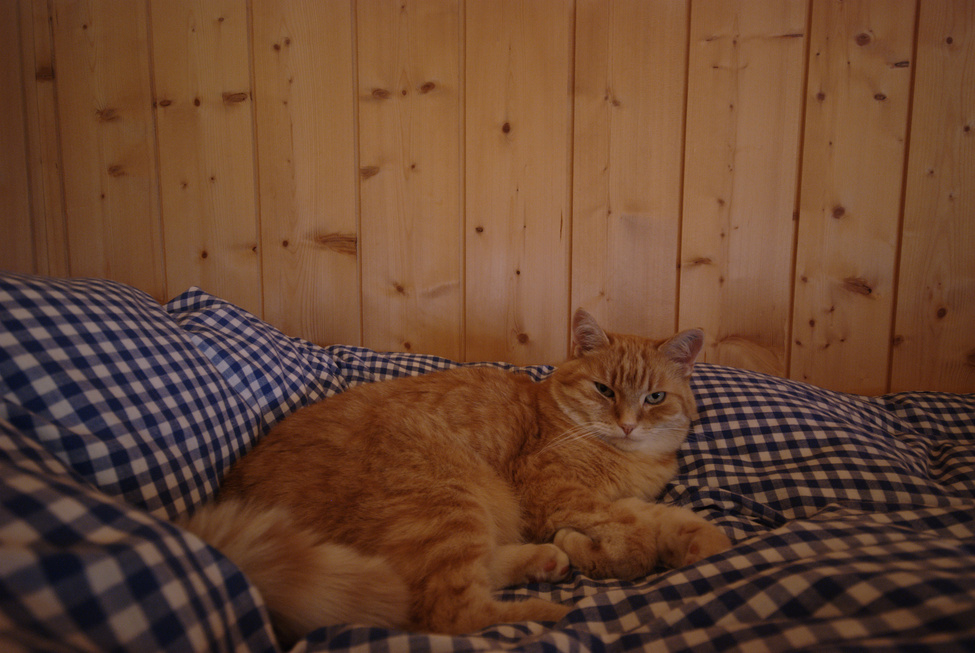 Image limir-2010-07/DSC_0038.jpg