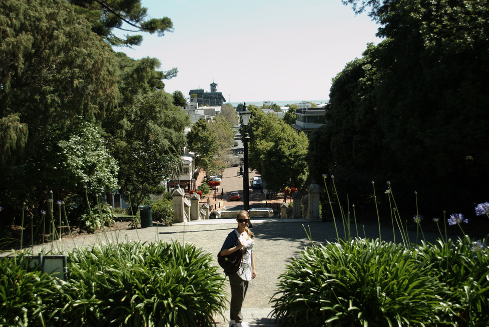 Nelson