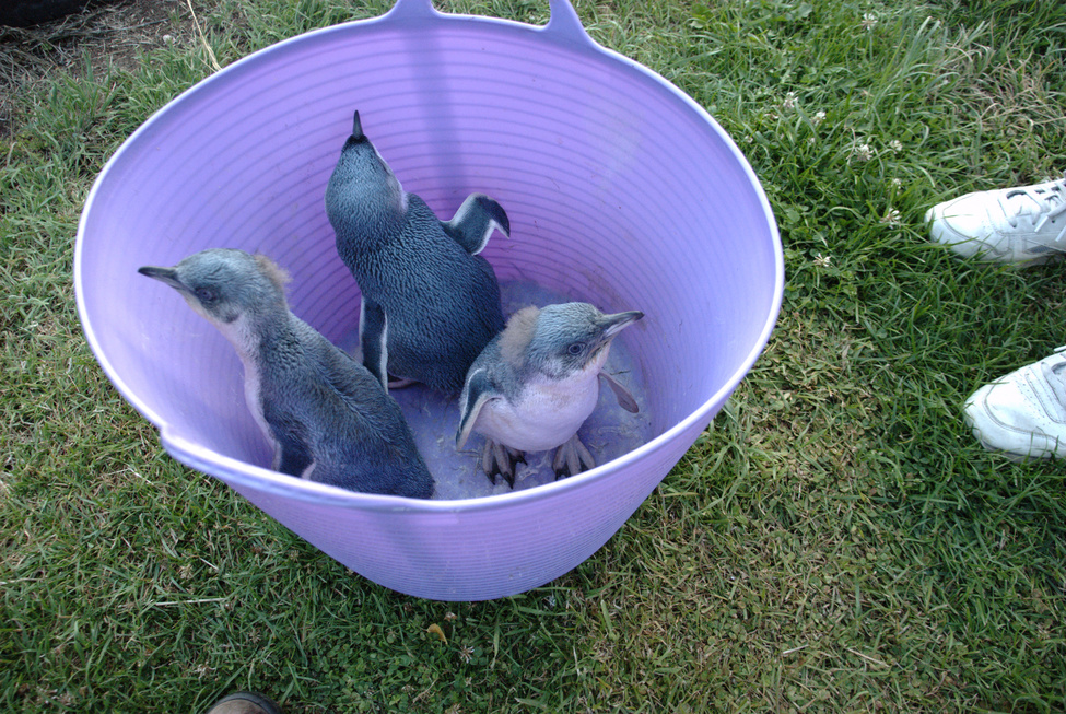 Off for swim class!