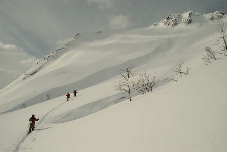 Image paske-2008-03/dsc_0054.jpg
