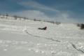 Image paske-2008-03/dsc_0159.jpg