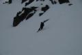 Image paske-2009-04/dsc_0240.jpg