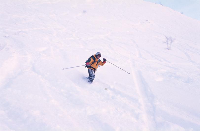 Image sudndalen-2004-01/l_10.jpg