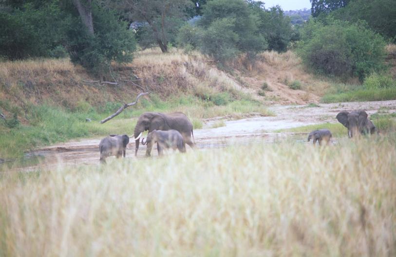Image tanzania-2006-07/z12.jpg