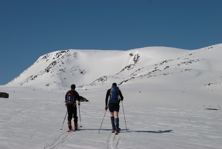 Image valdresflya-2008-05/dsc_0018.jpg